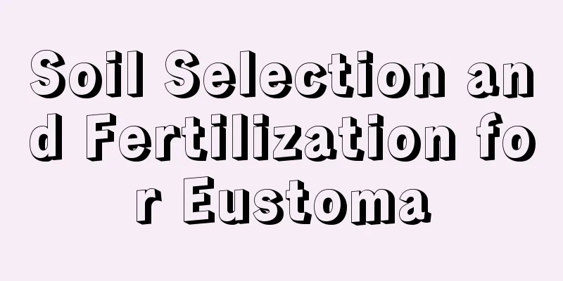 Soil Selection and Fertilization for Eustoma