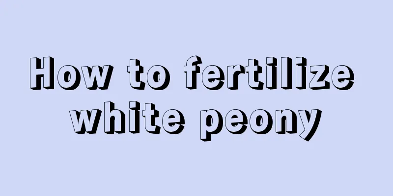 How to fertilize white peony