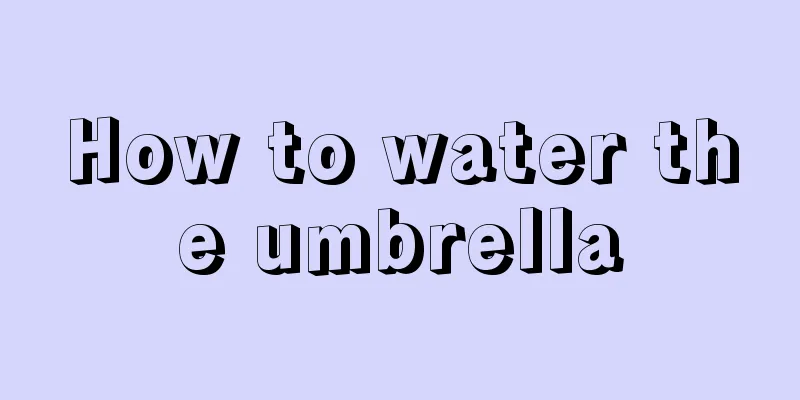 How to water the umbrella