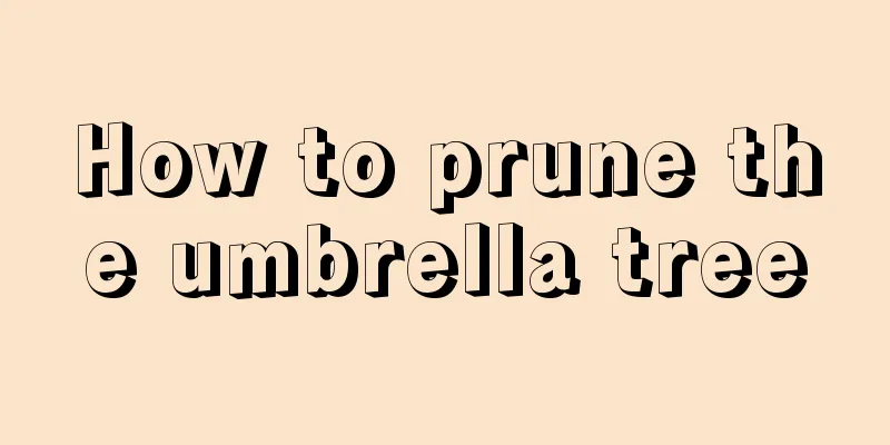 How to prune the umbrella tree