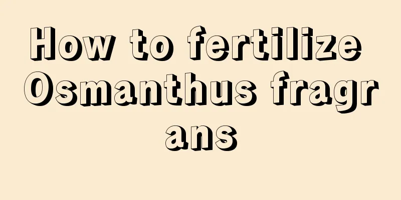 How to fertilize Osmanthus fragrans