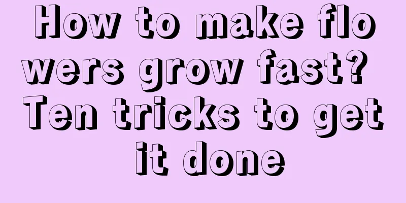 How to make flowers grow fast? Ten tricks to get it done