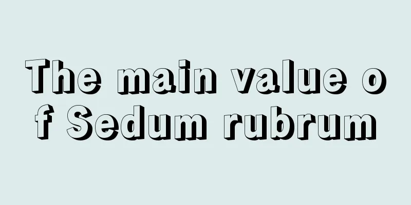 The main value of Sedum rubrum