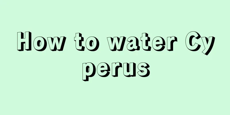 How to water Cyperus