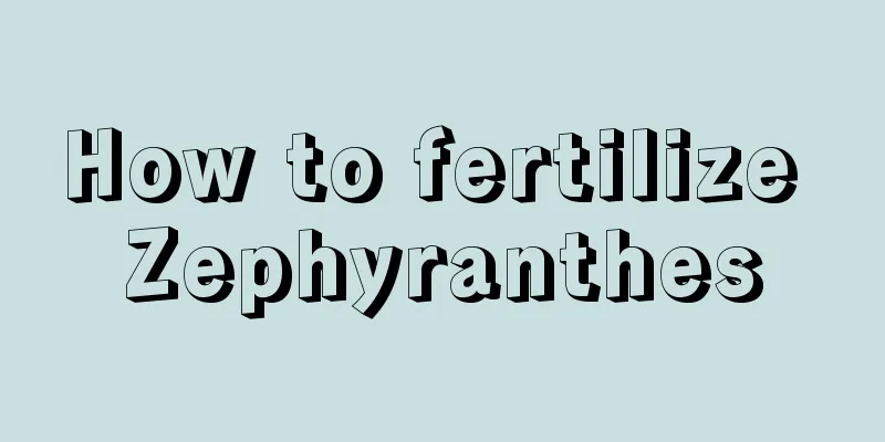 How to fertilize Zephyranthes