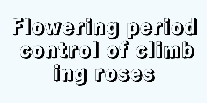 Flowering period control of climbing roses