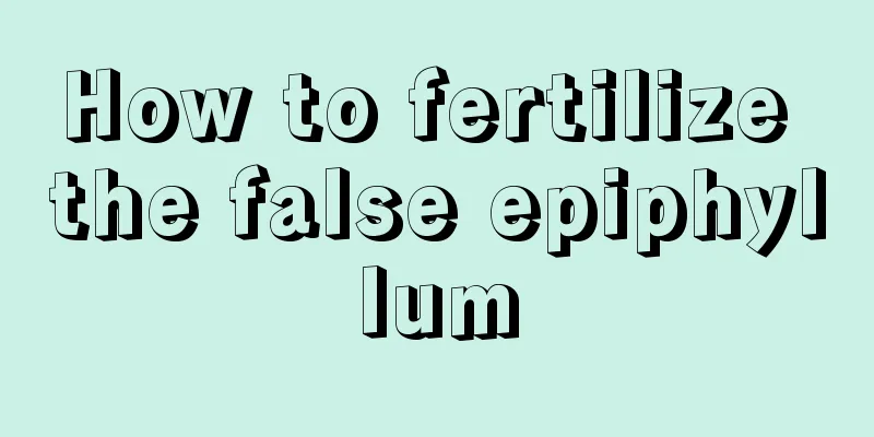 How to fertilize the false epiphyllum