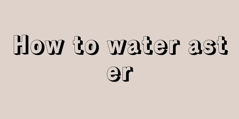 How to water aster