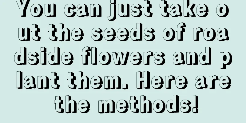 You can just take out the seeds of roadside flowers and plant them. Here are the methods!