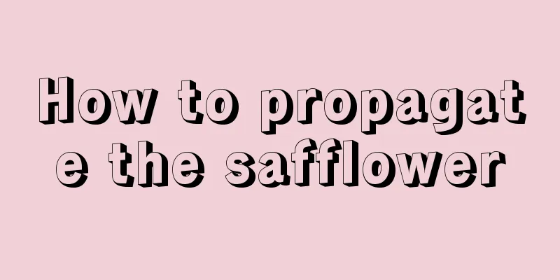 How to propagate the safflower