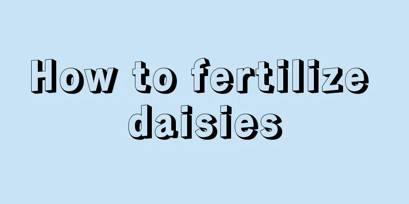 How to fertilize daisies