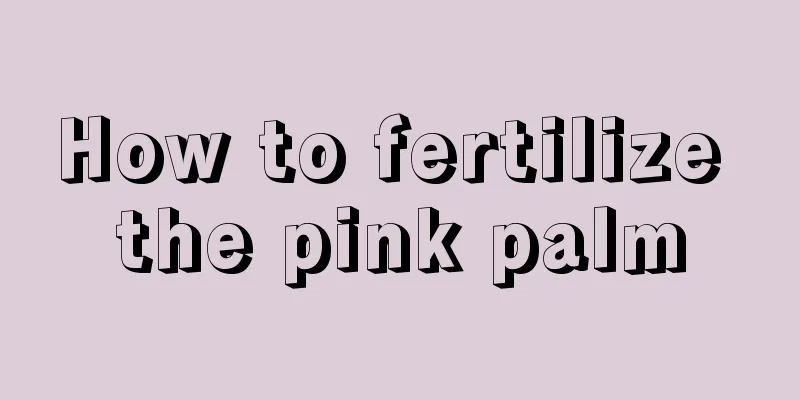 How to fertilize the pink palm