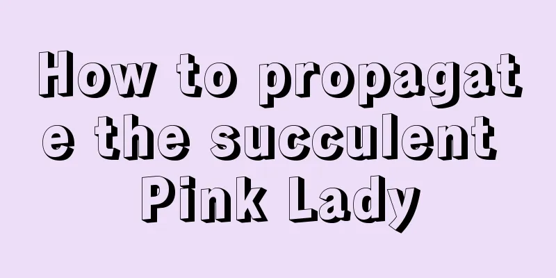 How to propagate the succulent Pink Lady