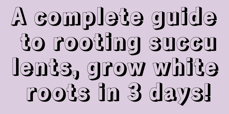 A complete guide to rooting succulents, grow white roots in 3 days!