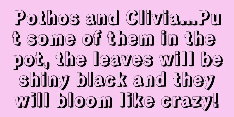 Pothos and Clivia...Put some of them in the pot, the leaves will be shiny black and they will bloom like crazy!