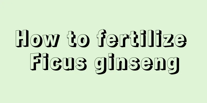 How to fertilize Ficus ginseng