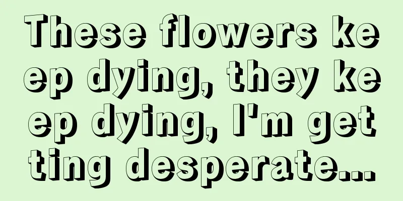 These flowers keep dying, they keep dying, I'm getting desperate...