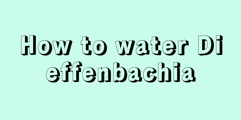 How to water Dieffenbachia