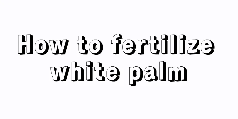 How to fertilize white palm