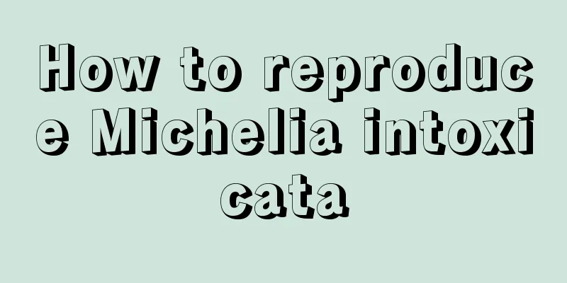 How to reproduce Michelia intoxicata