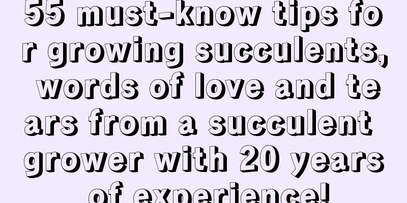 55 must-know tips for growing succulents, words of love and tears from a succulent grower with 20 years of experience!