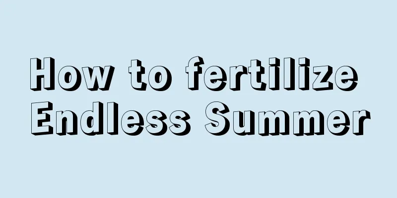 How to fertilize Endless Summer