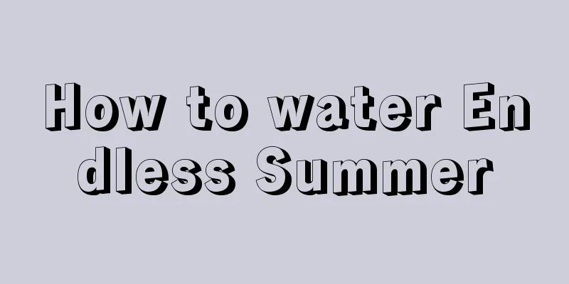 How to water Endless Summer