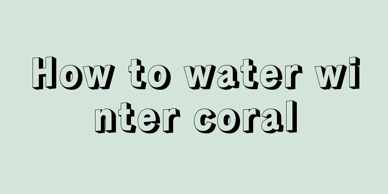 How to water winter coral