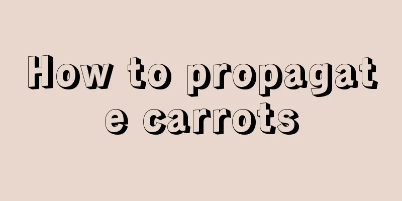 How to propagate carrots