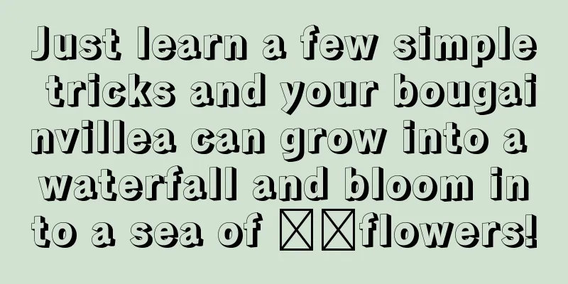 Just learn a few simple tricks and your bougainvillea can grow into a waterfall and bloom into a sea of ​​flowers!