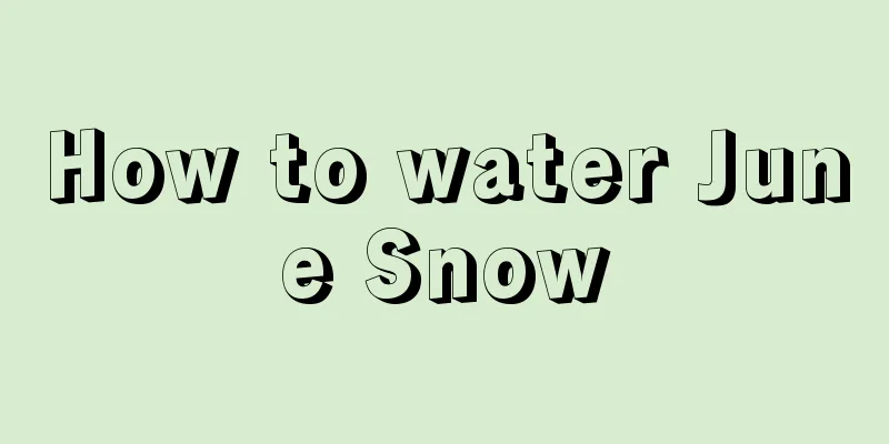 How to water June Snow