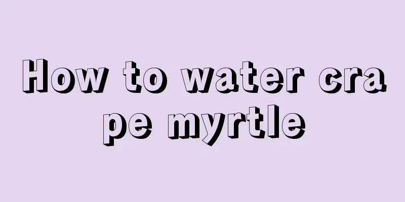 How to water crape myrtle