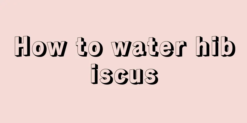 How to water hibiscus