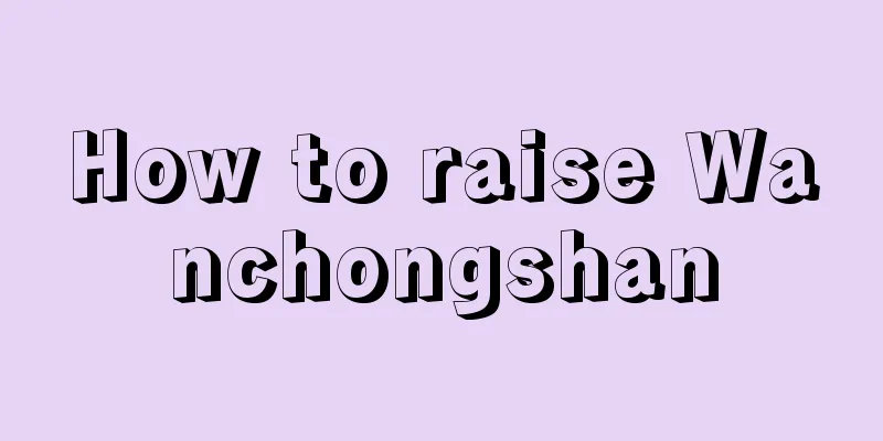 How to raise Wanchongshan