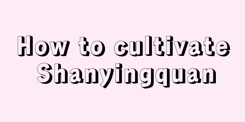 How to cultivate Shanyingquan