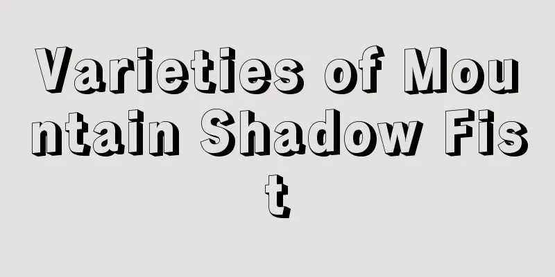 Varieties of Mountain Shadow Fist