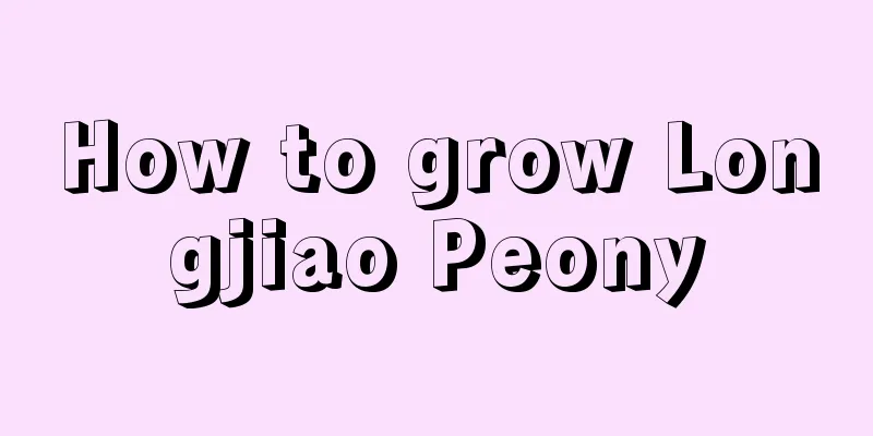 How to grow Longjiao Peony