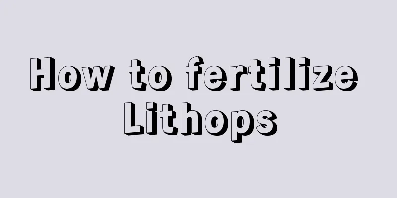 How to fertilize Lithops