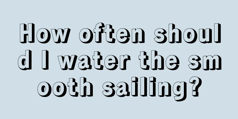 How often should I water the smooth sailing?