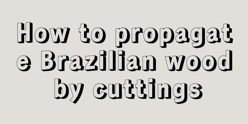 How to propagate Brazilian wood by cuttings