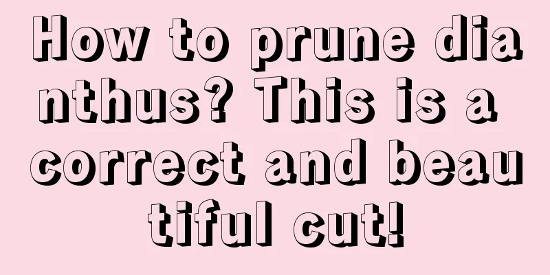 How to prune dianthus? This is a correct and beautiful cut!