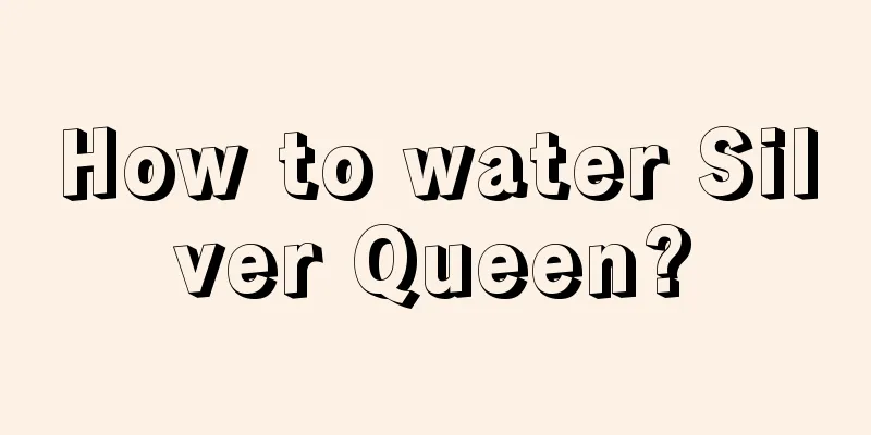 How to water Silver Queen?