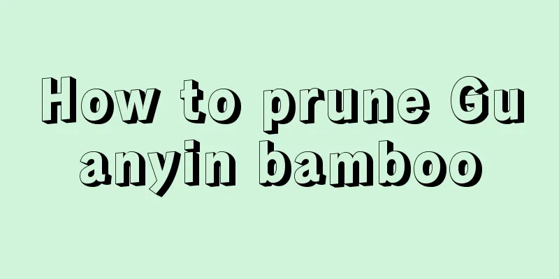 How to prune Guanyin bamboo