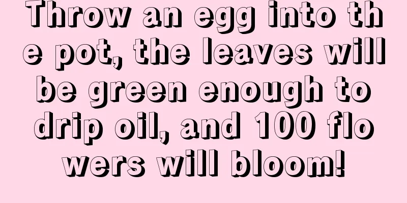 Throw an egg into the pot, the leaves will be green enough to drip oil, and 100 flowers will bloom!