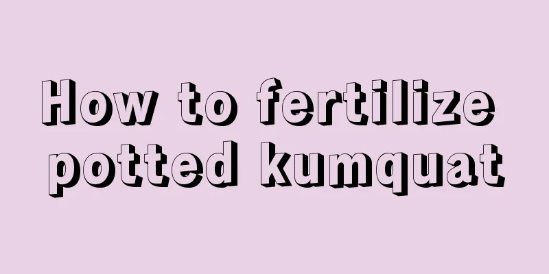 How to fertilize potted kumquat