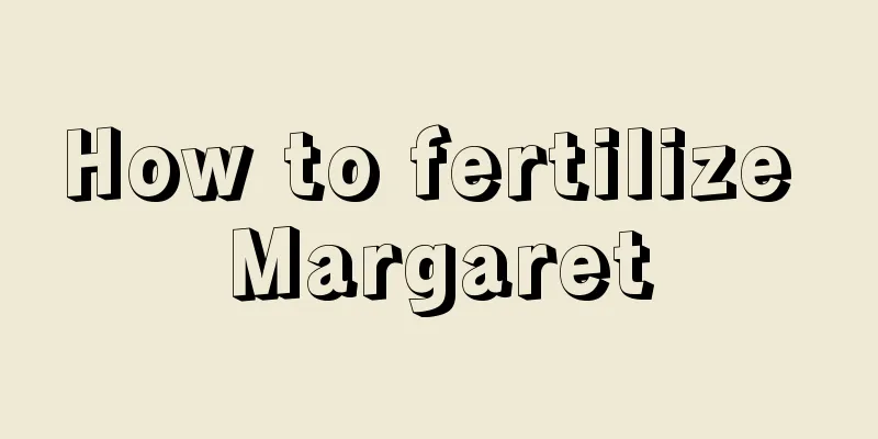 How to fertilize Margaret