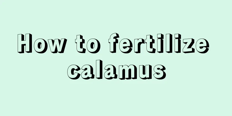 How to fertilize calamus