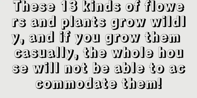 These 13 kinds of flowers and plants grow wildly, and if you grow them casually, the whole house will not be able to accommodate them!