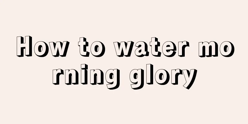 How to water morning glory