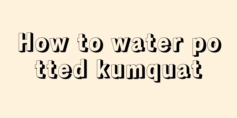 How to water potted kumquat